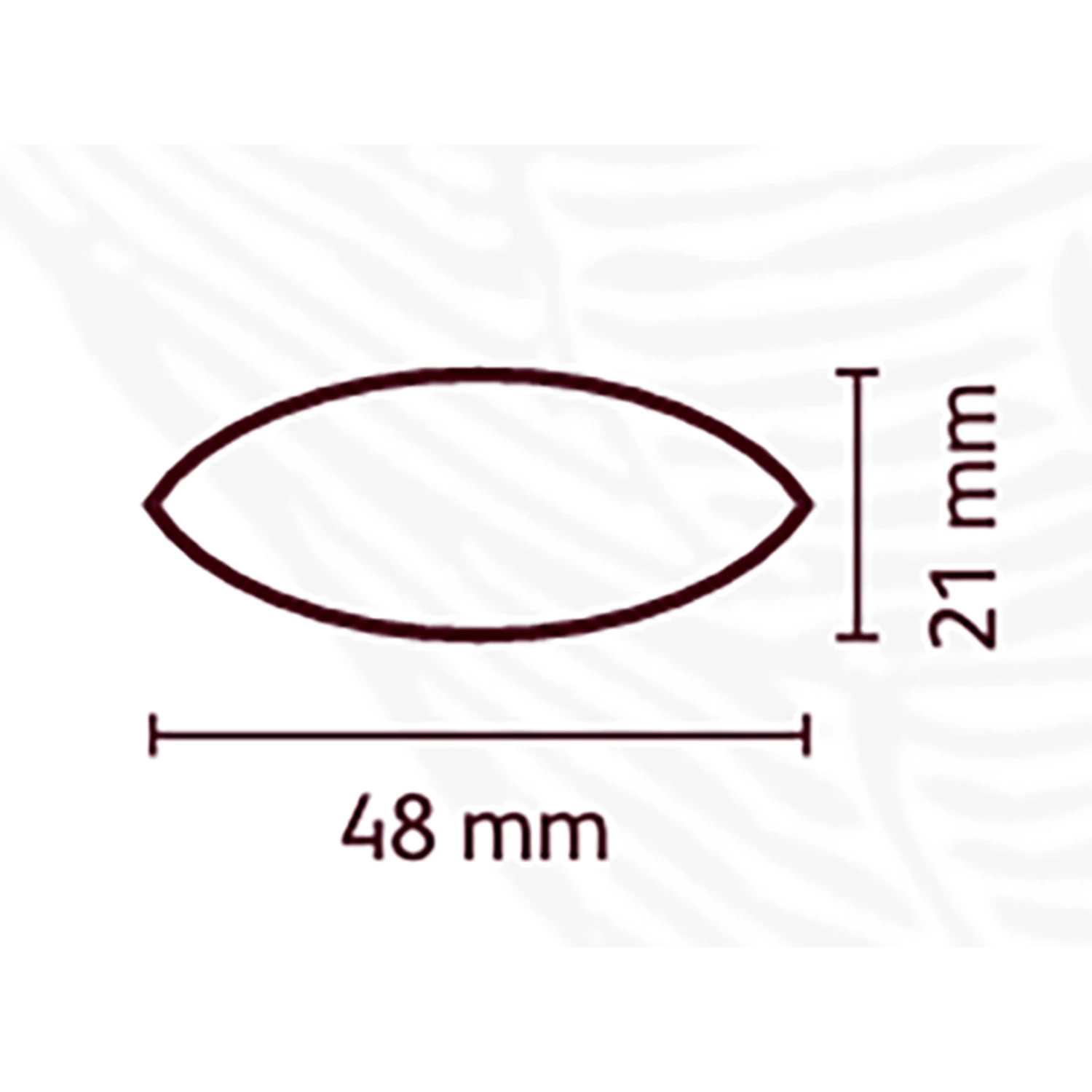 Cacao Barry Cocoa Pod / Cabosse - TRITAN - Image 3